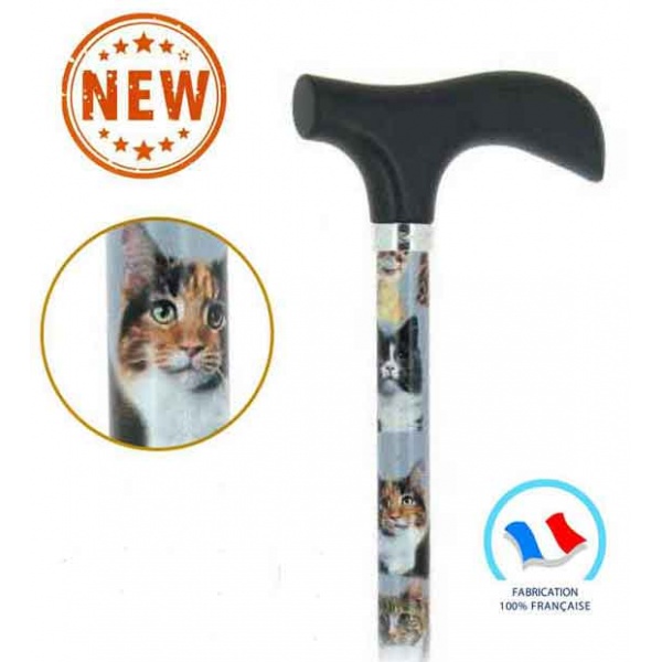 canne-de-marche-2326