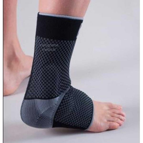 chevillere-malleolaire-anatomique-3d