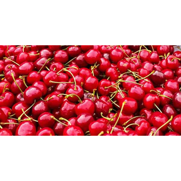 coussin-noyaux-de-cerise-1