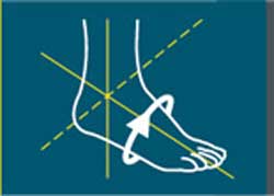 taille Chevillere push kicx